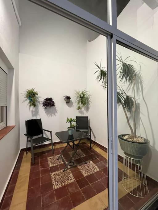 Apartamento Veedor Buenas Companias カディス エクステリア 写真